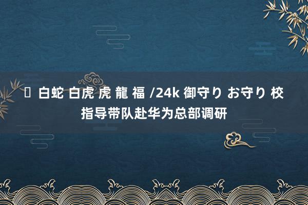 ✨白蛇 白虎 虎 龍 福 /24k 御守り お守り 校指导带队赴华为总部调研