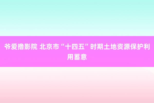 爷爱撸影院 北京市“十四五”时期土地资源保护利用蓄意