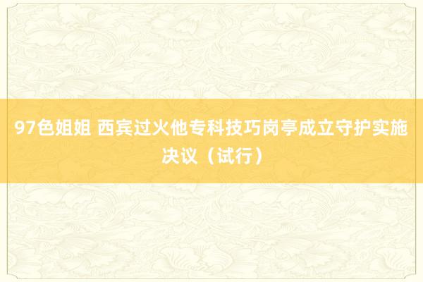 97色姐姐 西宾过火他专科技巧岗亭成立守护实施决议（试行）