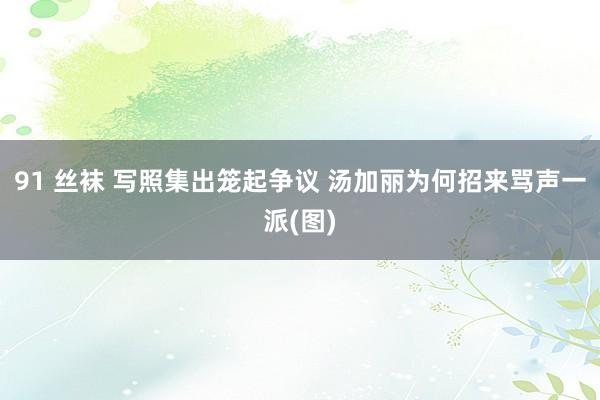 91 丝袜 写照集出笼起争议 汤加丽为何招来骂声一派(图)