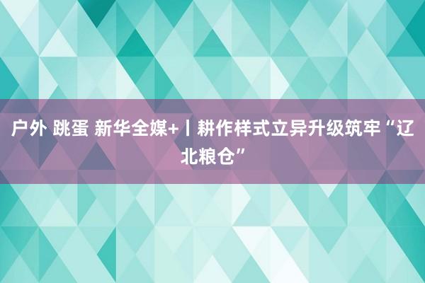 户外 跳蛋 新华全媒+丨耕作样式立异升级筑牢“辽北粮仓”