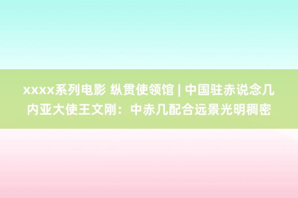 xxxx系列电影 纵贯使领馆 | 中国驻赤说念几内亚大使王文刚：中赤几配合远景光明稠密