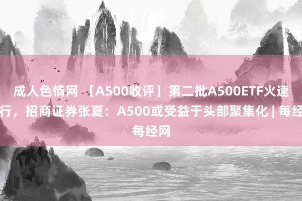 成人色情网 【A500收评】第二批A500ETF火速刊行，招商证券张夏：A500或受益于头部聚集化 | 每经网