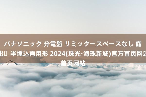 パナソニック 分電盤 リミッタースペースなし 露出・半埋込両用形 2024(珠光·海珠新城)官方首页网站