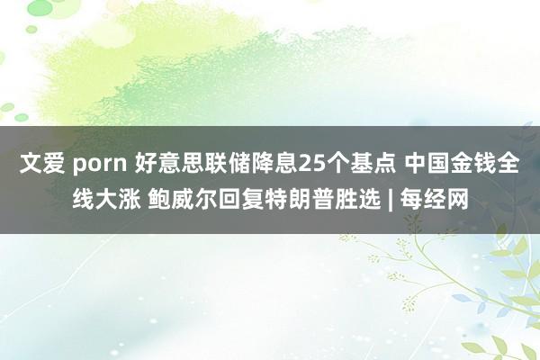 文爱 porn 好意思联储降息25个基点 中国金钱全线大涨 鲍威尔回复特朗普胜选 | 每经网