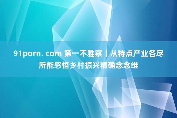 91porn. com 第一不雅察｜从特点产业各尽所能感悟乡村振兴精确念念维