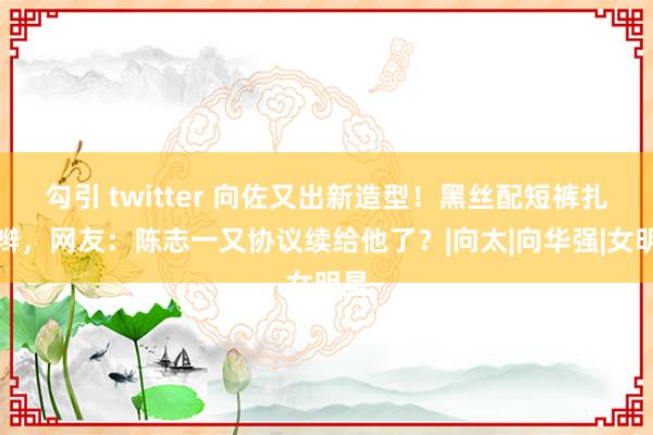 勾引 twitter 向佐又出新造型！黑丝配短裤扎小辫，网友：陈志一又协议续给他了？|向太|向华强|女明星