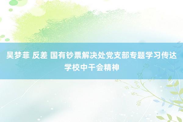 吴梦菲 反差 国有钞票解决处党支部专题学习传达学校中干会精神