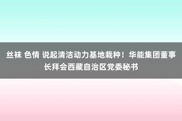 丝袜 色情 说起清洁动力基地栽种！华能集团董事长拜会西藏自治区党委秘书