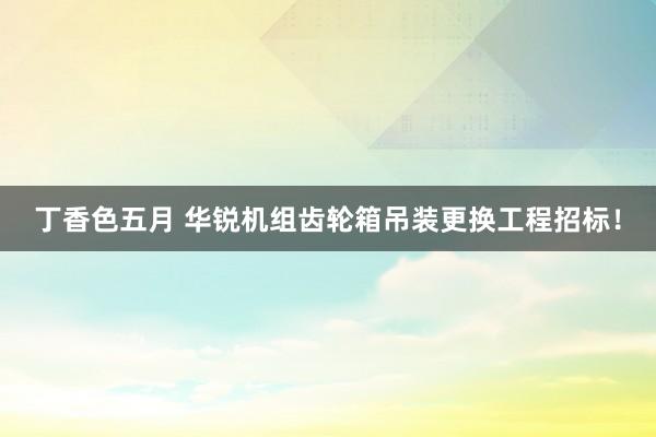 丁香色五月 华锐机组齿轮箱吊装更换工程招标！